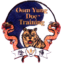 Oom Yung Doe Training